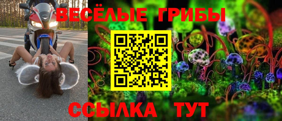 Галлюциногенные грибы мухоморы  Галлюциногенные грибы прущие грибы  Кызыл  Вход с VPN 